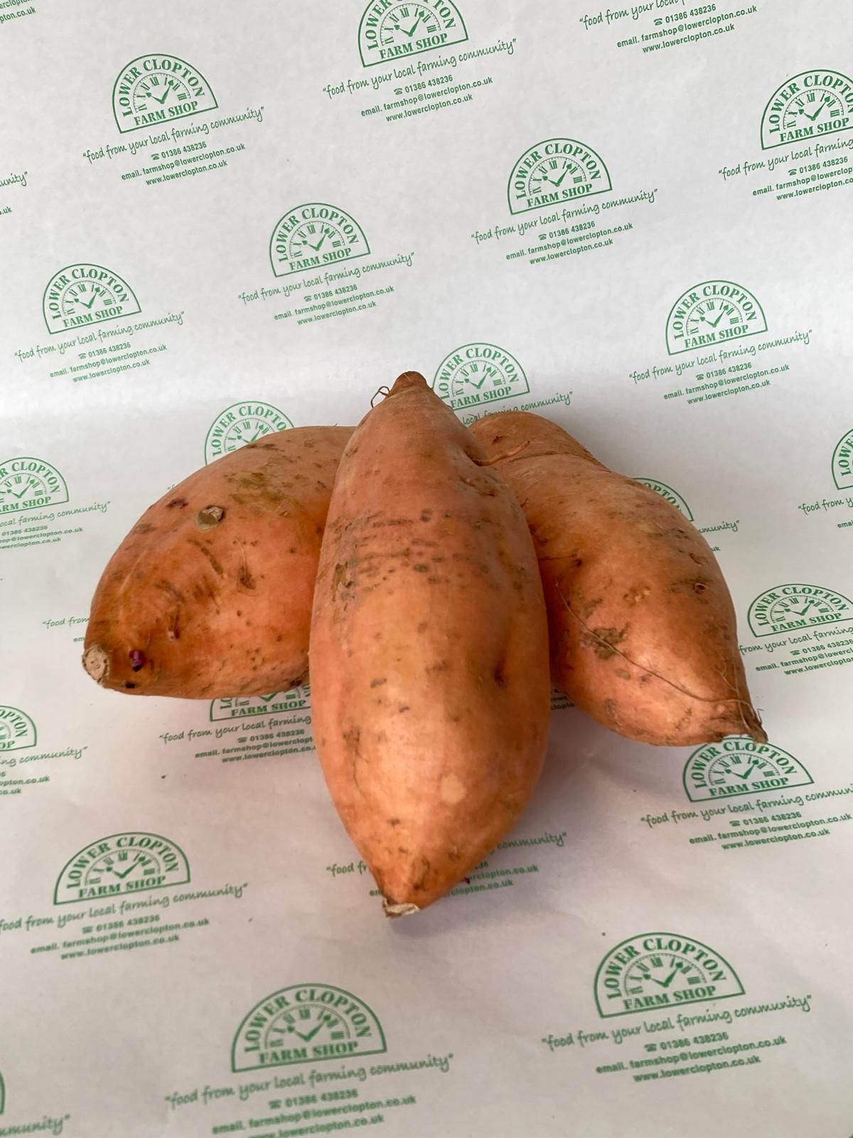 Sweet Potato