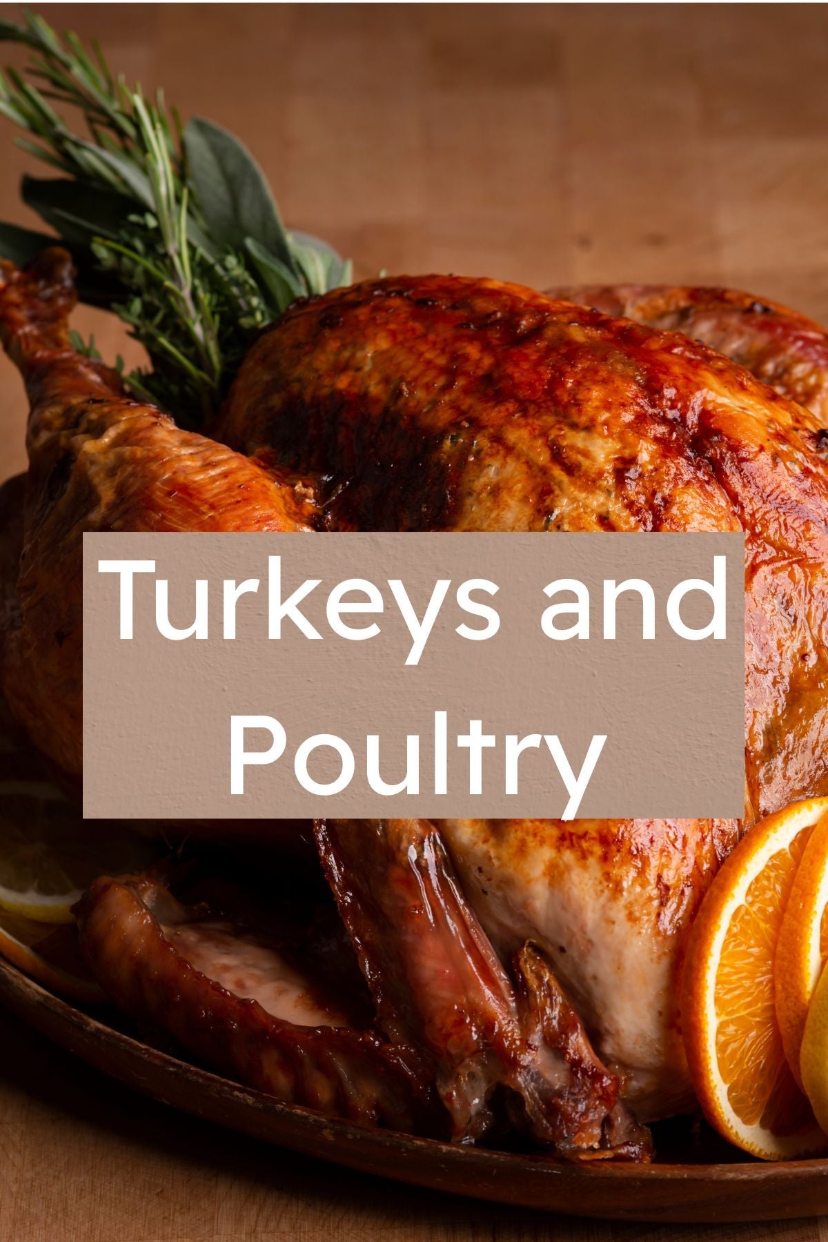 Turkeys and Poultry