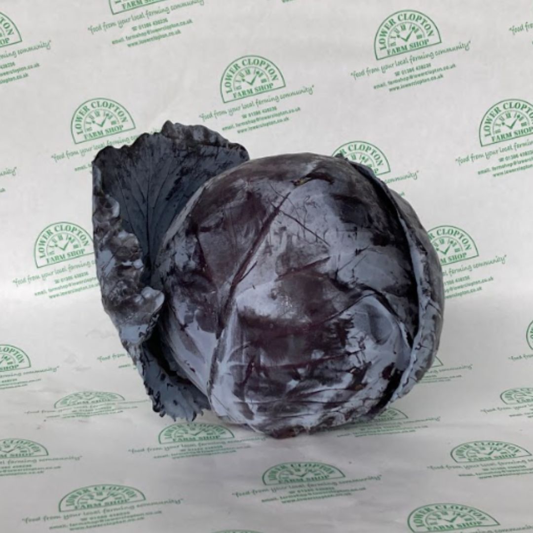 Red Cabbage