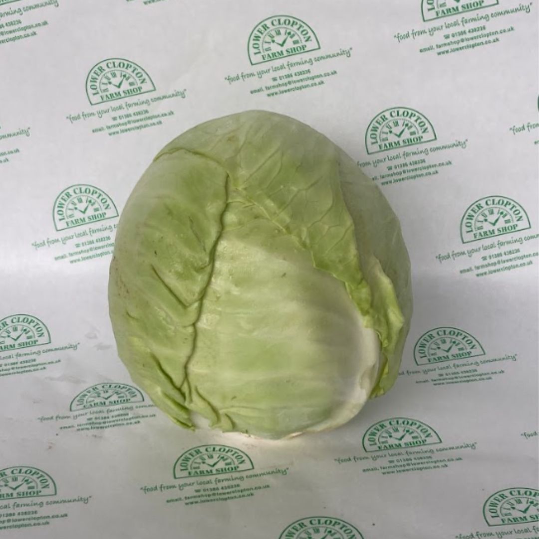 White Cabbage