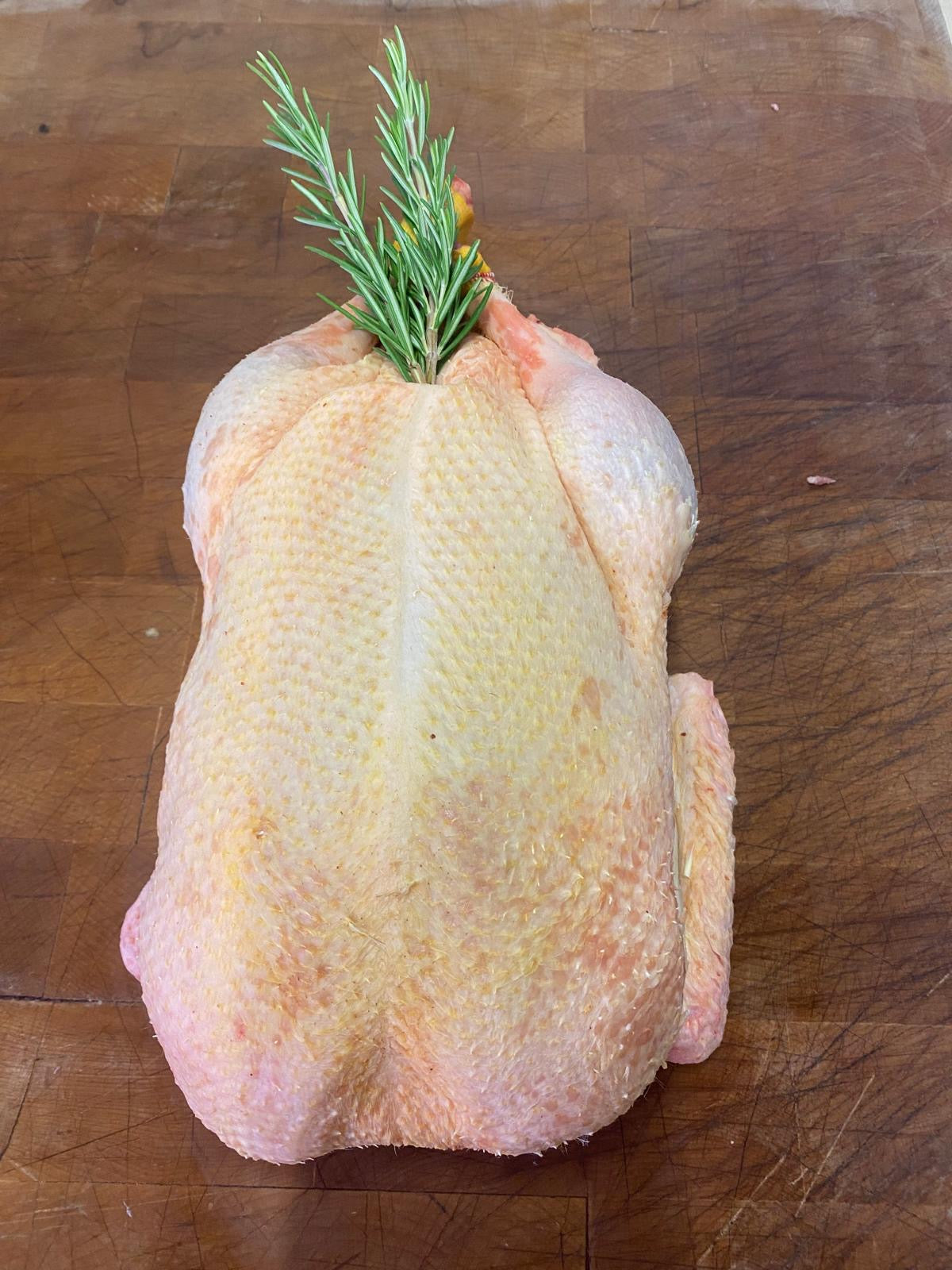 Free Range Duck