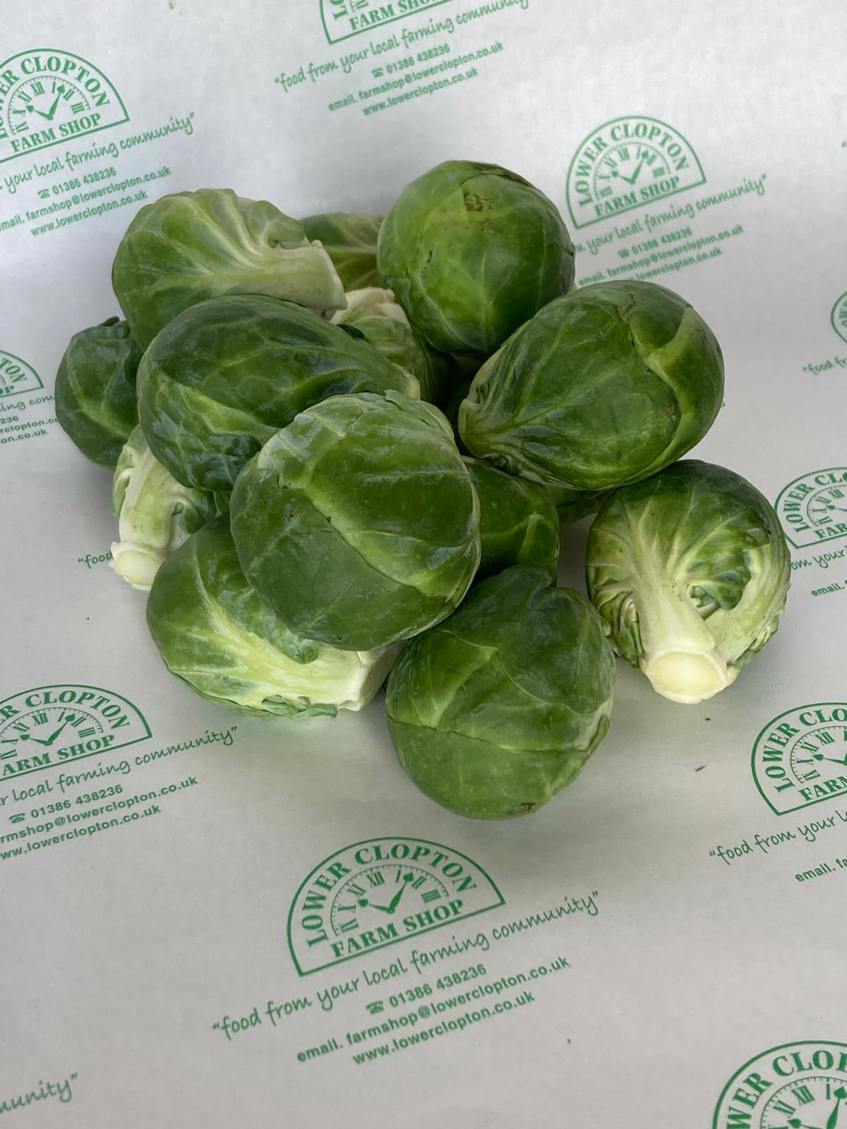 Brussel Sprouts
