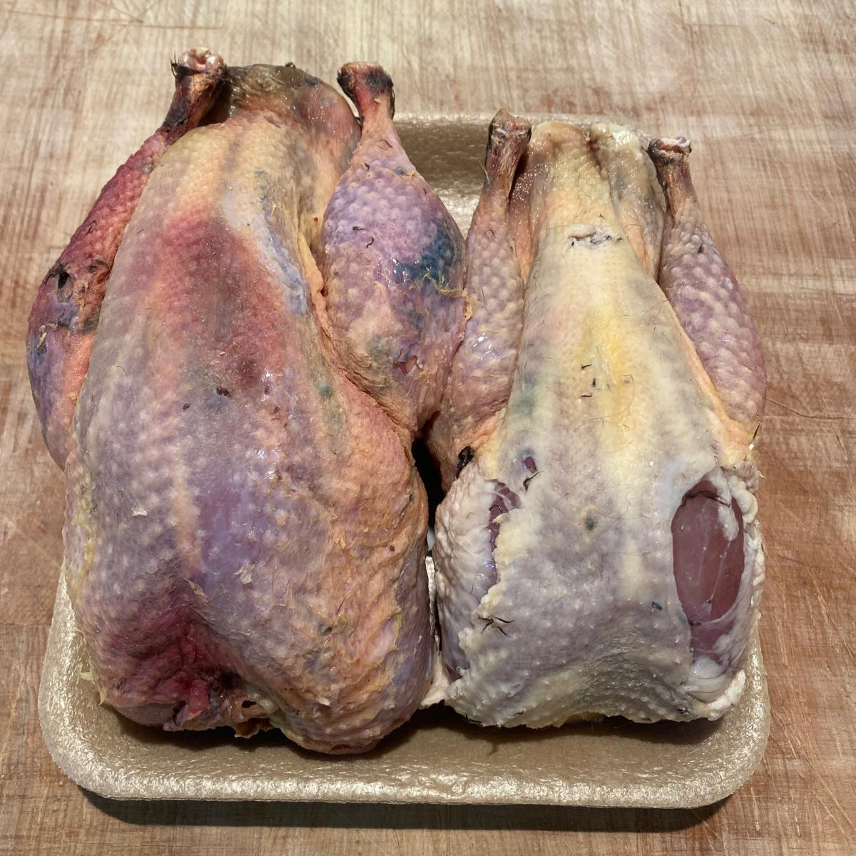 Brace Pheasant