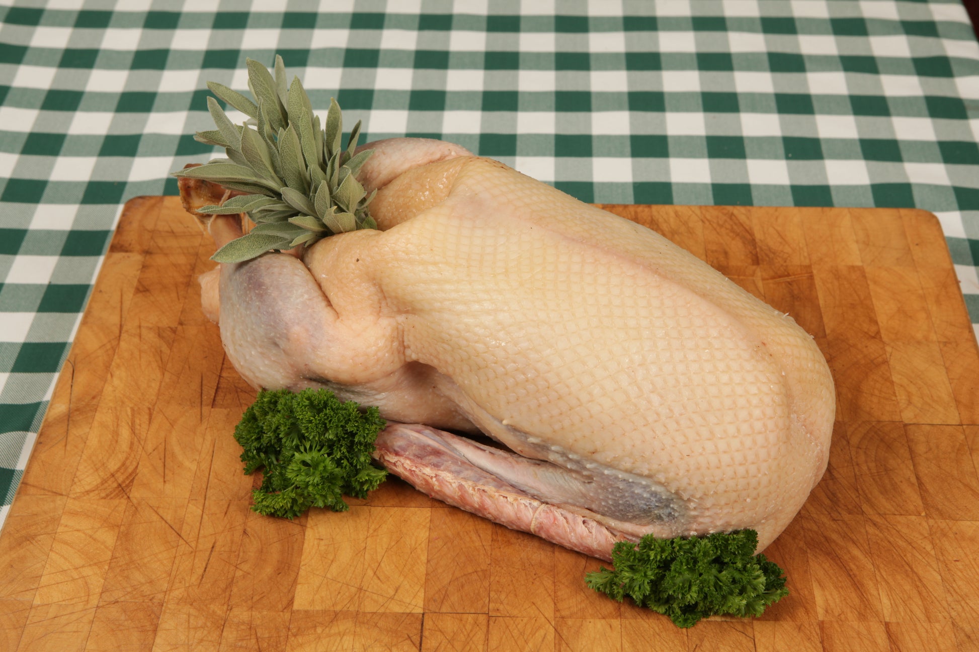 Free Range Goose