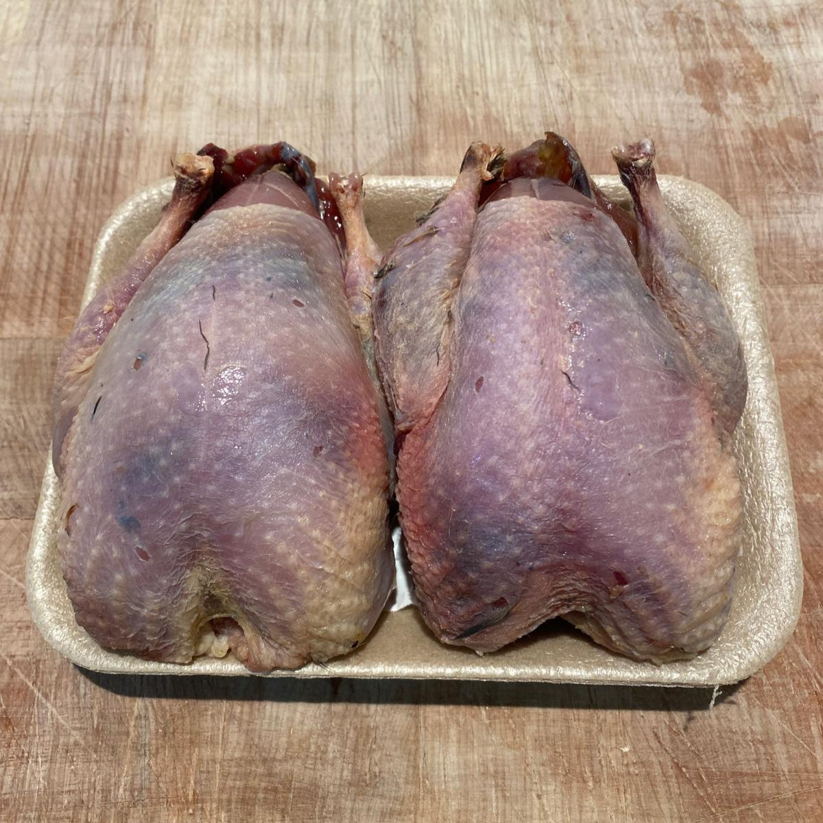 Brace Partridge